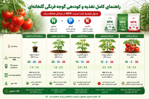 جدول کود NPK مناسب گوجه فرنگی گلخانه‌ای